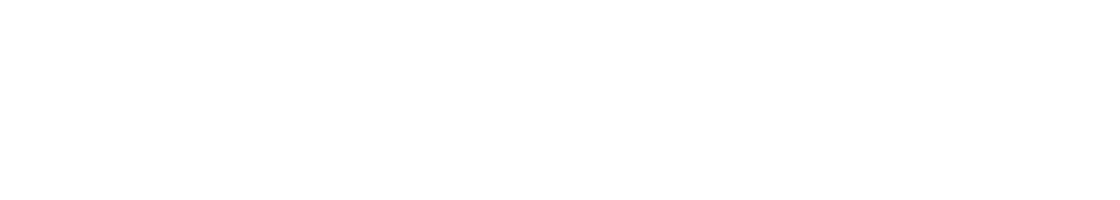 3. Primary Logo (1)
